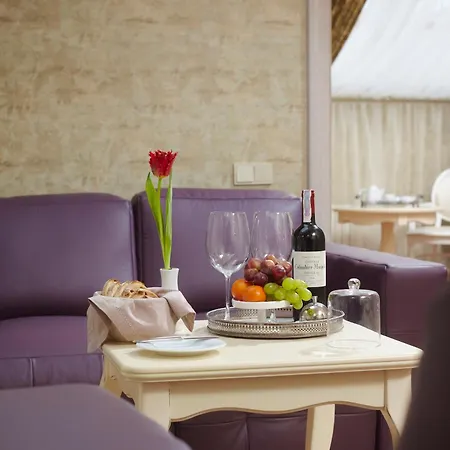 Hotel Vintage Boutique 4*